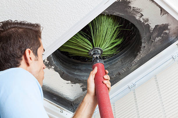 Best Professional Duct Cleaning Services  in Stony Point, MI